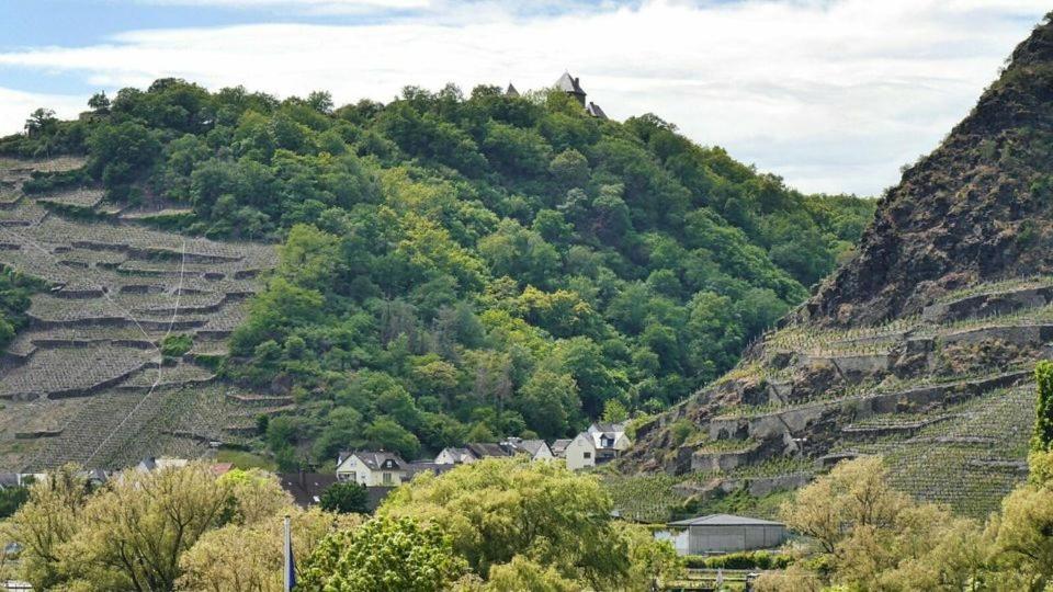 Ferienwohnung Dieblich An Der Mosel Exterior foto
