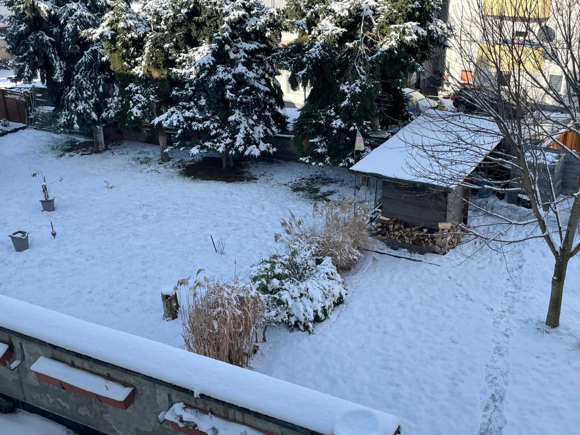 Ferienwohnung Dieblich An Der Mosel Exterior foto